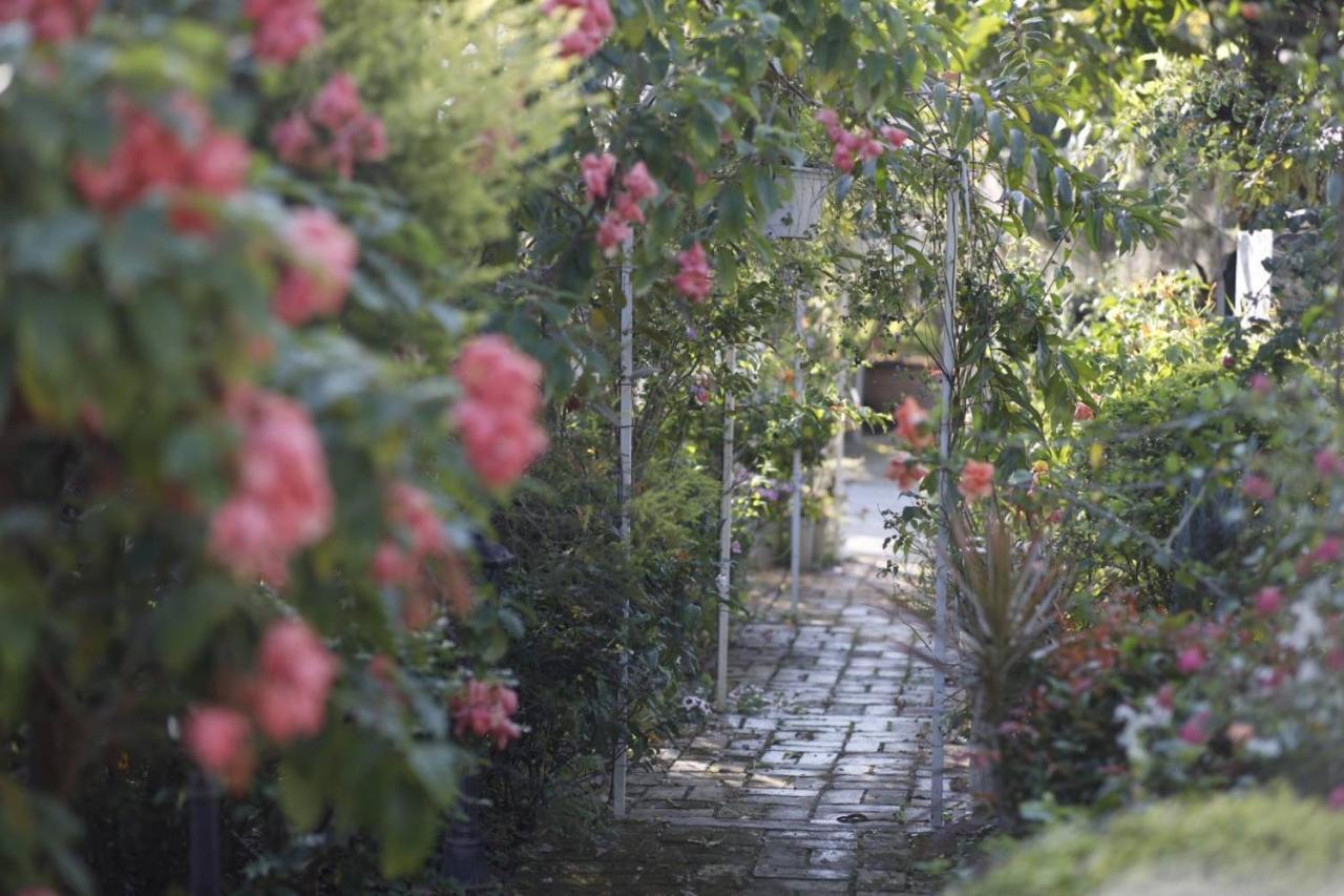 Bed and Breakfast Le Jardin De Maejo Chiang Mai Exterior foto
